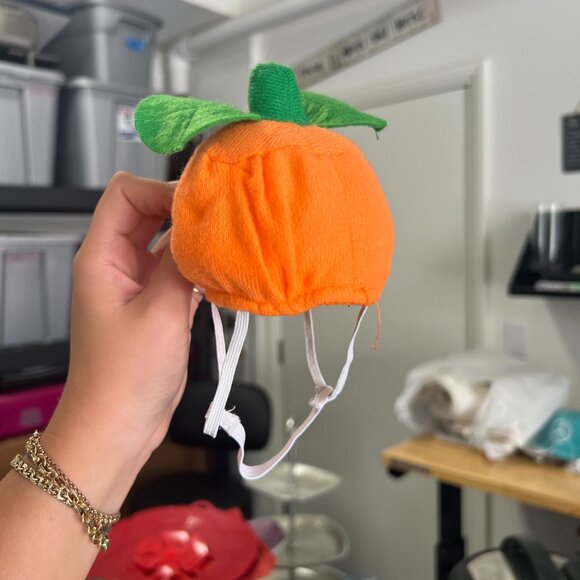 lookin' good! Dogs Pet's Halloween Pumpkin Costume Small Orange 100% Polyester - Picture 5 of 6
